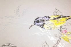 Tapete Onni Hellgrau -Wallpaper From The 70s Geschäft 104501 B Onni 2880x1440