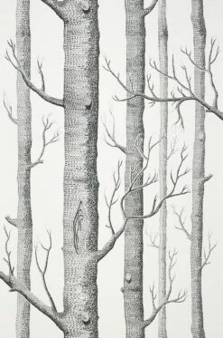 Tapete Birch Forest Schwarz -Wallpaper From The 70s Geschäft 138101 A Birch Forest 2880x1440