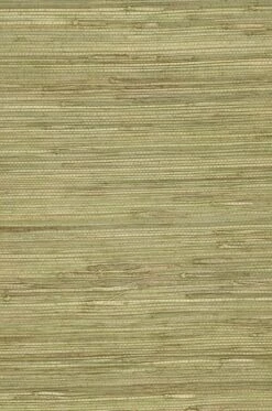 Tapete Grasscloth 01 Blassgrün -Wallpaper From The 70s Geschäft 250261 grasscloth 01 2880x1440