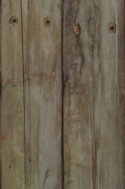 Tapete Scrapwood 14 Grüngrau -Wallpaper From The 70s Geschäft 270164 Scrapwood14 2880x1440