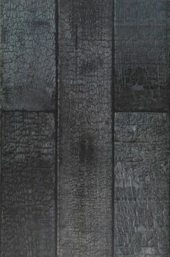 Tapete Scrapwood 35 Schwarz -Wallpaper From The 70s Geschäft 270175 Scrapwood 35 2880x1440