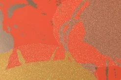 Tapete Andy Warhol - Flowers Lachsorange -Wallpaper From The 70s Geschäft 320221 1 Andy Warhol Flowers 2880x1440