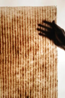 Tapete Jambhala Zartrosa -Wallpaper From The 70s Geschäft 325110 C Jambhala 2880x1440