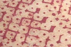 Tapete Dakini Bordeaux -Wallpaper From The 70s Geschäft 325111 B Dakini 2880x1440