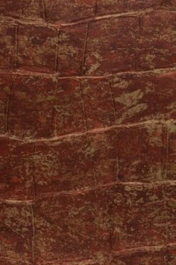 Tapete Croco 13 Rotbraun -Wallpaper From The 70s Geschäft 345113 A Croco 13 2880x1440