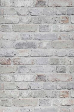 Tapete Castor Blassbraun -Wallpaper From The 70s Geschäft 390562 Castor 2880x1440