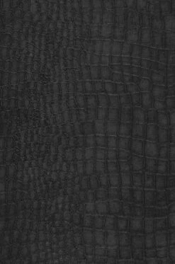 Tapete Caiman Anthrazitgrau -Wallpaper From The 70s Geschäft 430905 A Caiman 2880x1440