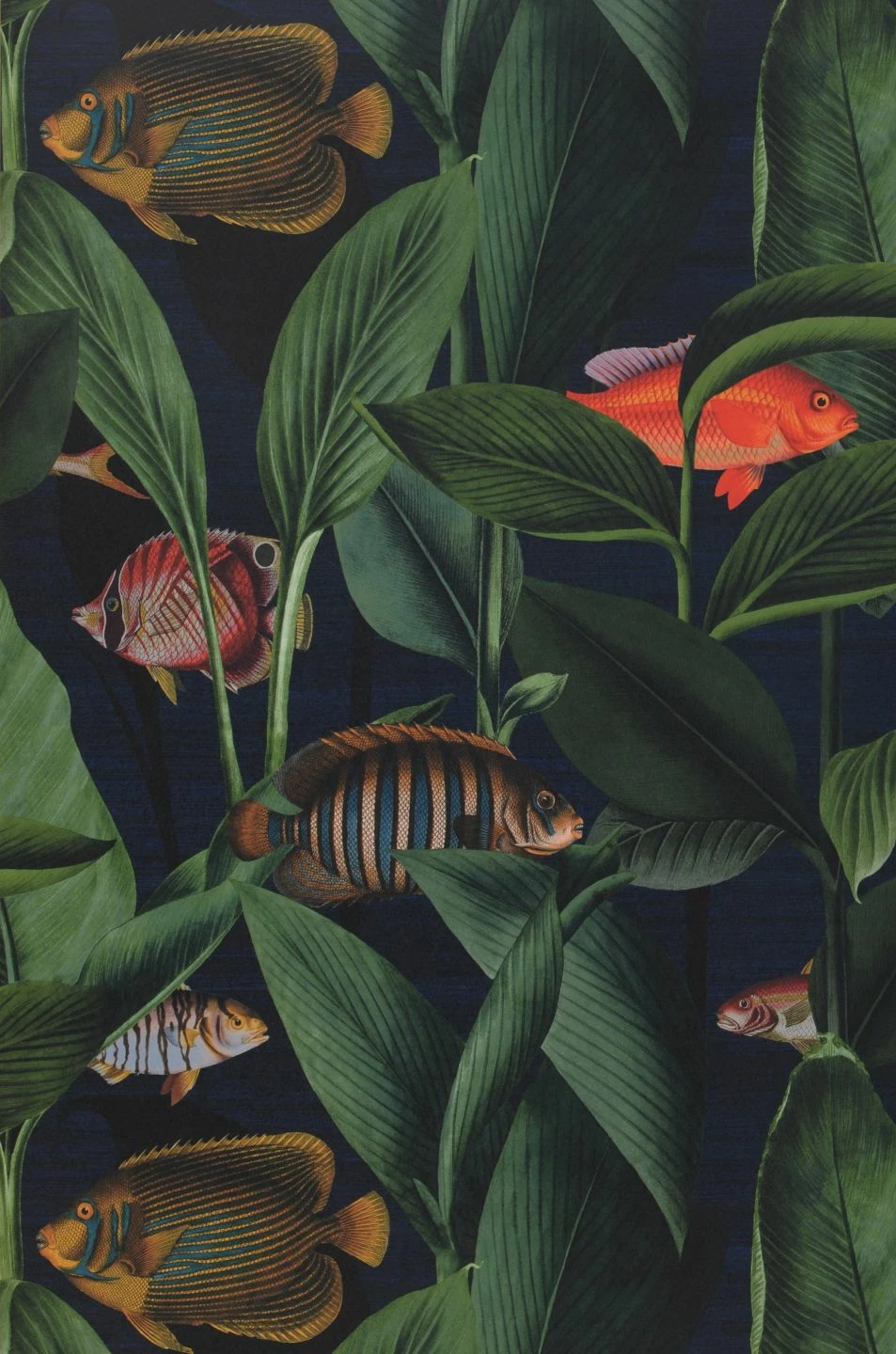 Tapete Acuario Dunkelblau 4 Tapete Acuario Dunkelblau – Bild 2