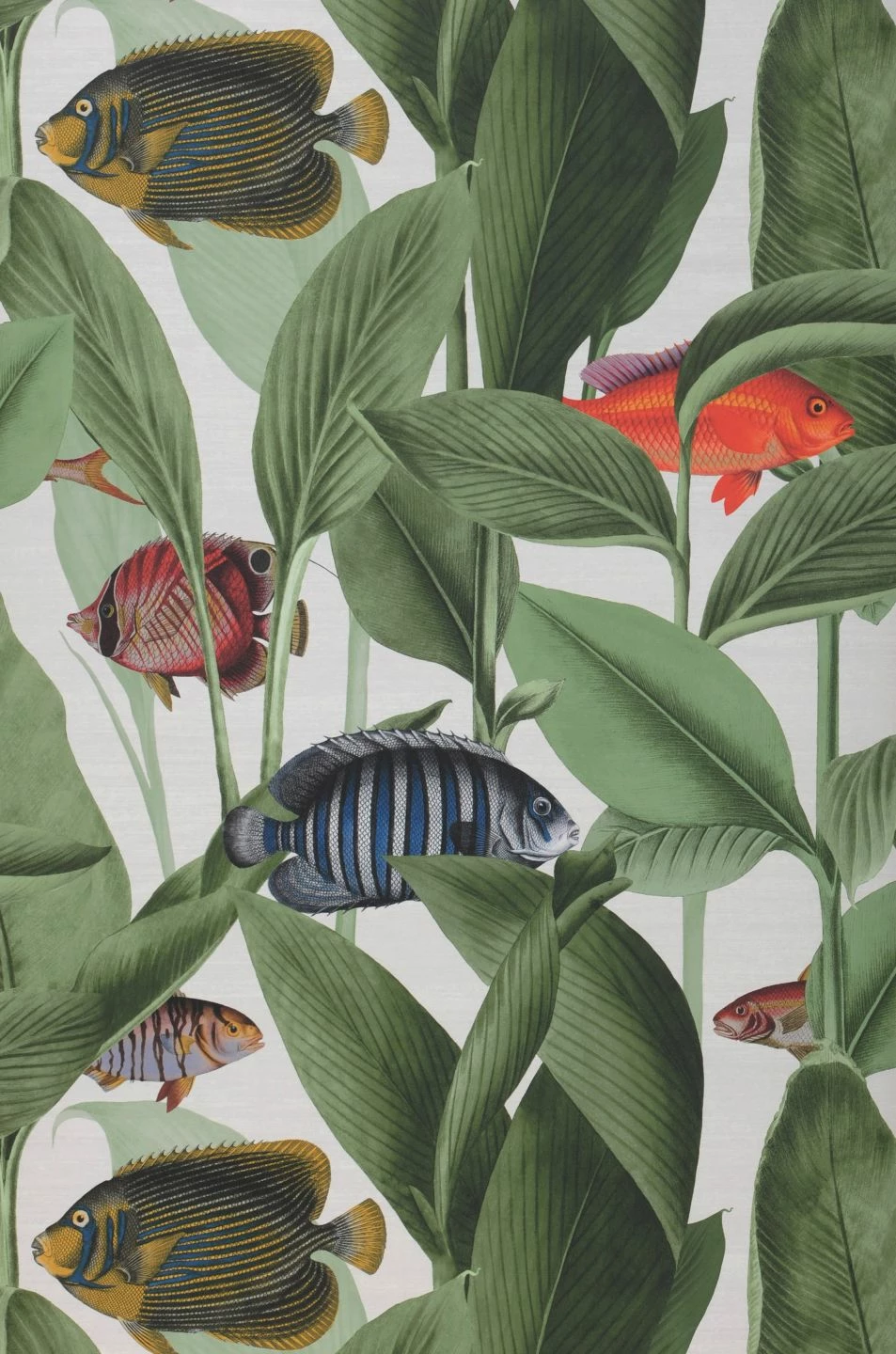 Tapete Acuario Weiss 4 Tapete Acuario Weiss – Bild 2