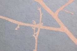 Tapete Tabora Hellgrau -Wallpaper From The 70s Geschäft 431641 B Tabora 2880x1440