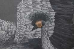 Tapete Kimora Dunkelgrau -Wallpaper From The 70s Geschäft 431703 B Kimora 2880x1440