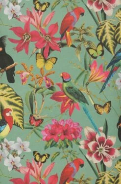 Tapete Mambo Blassgrün -Wallpaper From The 70s Geschäft 431831 A Mambo 2880x1440