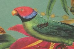 Tapete Mambo Blassgrün -Wallpaper From The 70s Geschäft 431831 B Mambo 2880x1440