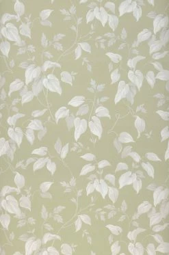 Tapete Inaya Blassgrün -Wallpaper From The 70s Geschäft 432071 Inaya 2880x1440