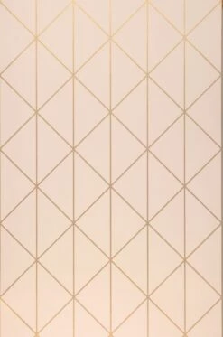 Tapete Biloba Zartrosa -Wallpaper From The 70s Geschäft 451371 A Biloba 2880x1440