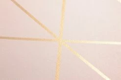 Tapete Biloba Zartrosa -Wallpaper From The 70s Geschäft 451371 B Biloba 2880x1440