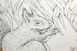 Tapete Sumi Grauweiss -Wallpaper From The 70s Geschäft 451782 B Sumi 2880x1440