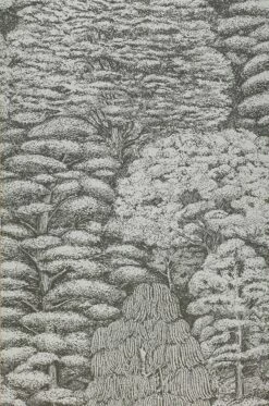 Tapete Roderik Braungrau -Wallpaper From The 70s Geschäft 461941 A Roderik 2880x1440