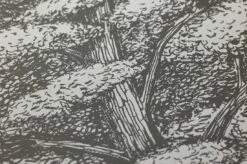 Tapete Roderik Braungrau -Wallpaper From The 70s Geschäft 461941 B Roderik 2880x1440