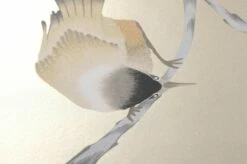 Tapete Francine Perlbeige -Wallpaper From The 70s Geschäft 462431 B Francine 2880x1440