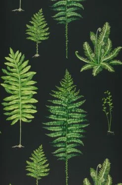 Tapete Fulvia Schwarz