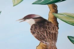 Tapete Fortuna Zartblau -Wallpaper From The 70s Geschäft 463081 B Fortuna 2880x1440