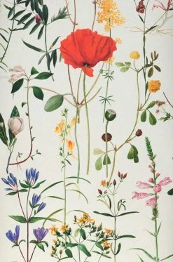 Wandbild Aquafleur Bunt -Wallpaper From The 70s Geschäft 725181 Aquafleur 2880x1440