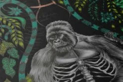 Tapete Silverback Türkisgrün 9 Tapete Silverback Türkisgrün -Wallpaper From The 70s Geschäft 745091 B Menagerie 2880x1440