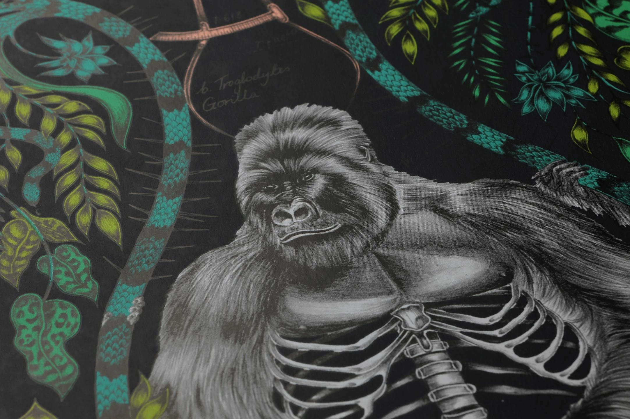 Tapete Silverback Türkisgrün 5 Tapete Silverback Türkisgrün – Bild 3