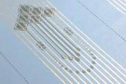 Tapete Valter Hellblau -Wallpaper From The 70s Geschäft 783061 B Valter 2880x1440