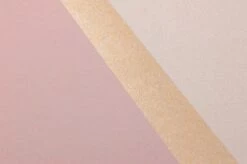 Tapete Tyra Hellrosa -Wallpaper From The 70s Geschäft 821552 B Tyra 2880x1440