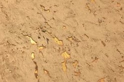 Tapete Cork On Roll 01 Mattgold 7 Tapete Cork On Roll 01 Mattgold -Wallpaper From The 70s Geschäft 821721 B Cork on Roll 01 2880x1440