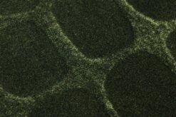 Tapete Croco Velvet Olivgrün -Wallpaper From The 70s Geschäft 821913 B Croco Velvet 2880x1440