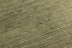 Tapete Grass On Roll 12 Grün -Wallpaper From The 70s Geschäft 822012 B Grass on Roll 12 2880x1440