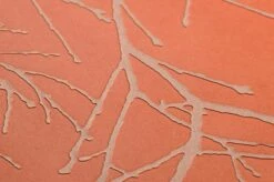 Tapete Kansai Rotorange -Wallpaper From The 70s Geschäft 864492 B Kansai 2880x1440