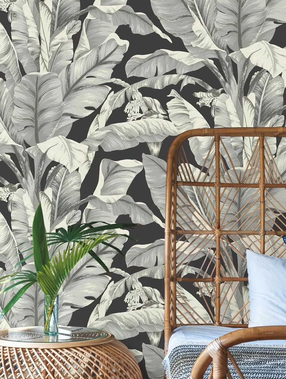 Tapete Belize Schwarz 3 Tapete Belize Schwarz