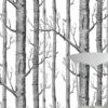 Tapete Birch Forest Schwarz -Wallpaper From The 70s Geschäft Birch Forest B 138101 2880x1440