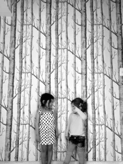 Tapete Birch Forest Schwarz -Wallpaper From The 70s Geschäft Birch Forest K 138101 2880x1440