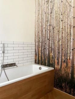 Wandbild Forest Grautöne -Wallpaper From The 70s Geschäft Forest K 390701 2880x1440