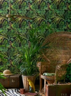 Tapete Jungle Jim Schwarz -Wallpaper From The 70s Geschäft Jungle Jim B 745234 2880x1440