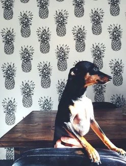 Tapete Pineapple Paradise Schwarzgrau 12 Tapete Pineapple Paradise Schwarzgrau -Wallpaper From The 70s Geschäft Pineapple Paradise K 181211 2880x1440