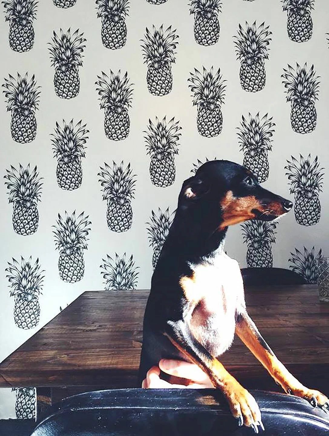 Tapete Pineapple Paradise Schwarzgrau 7 Tapete Pineapple Paradise Schwarzgrau – Bild 5