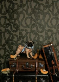 Tapete Snake Peek Moosgrau -Wallpaper From The 70s Geschäft Snake Peek D 341112 2880x1440