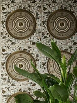 Versace Tapete Venus Brauntöne