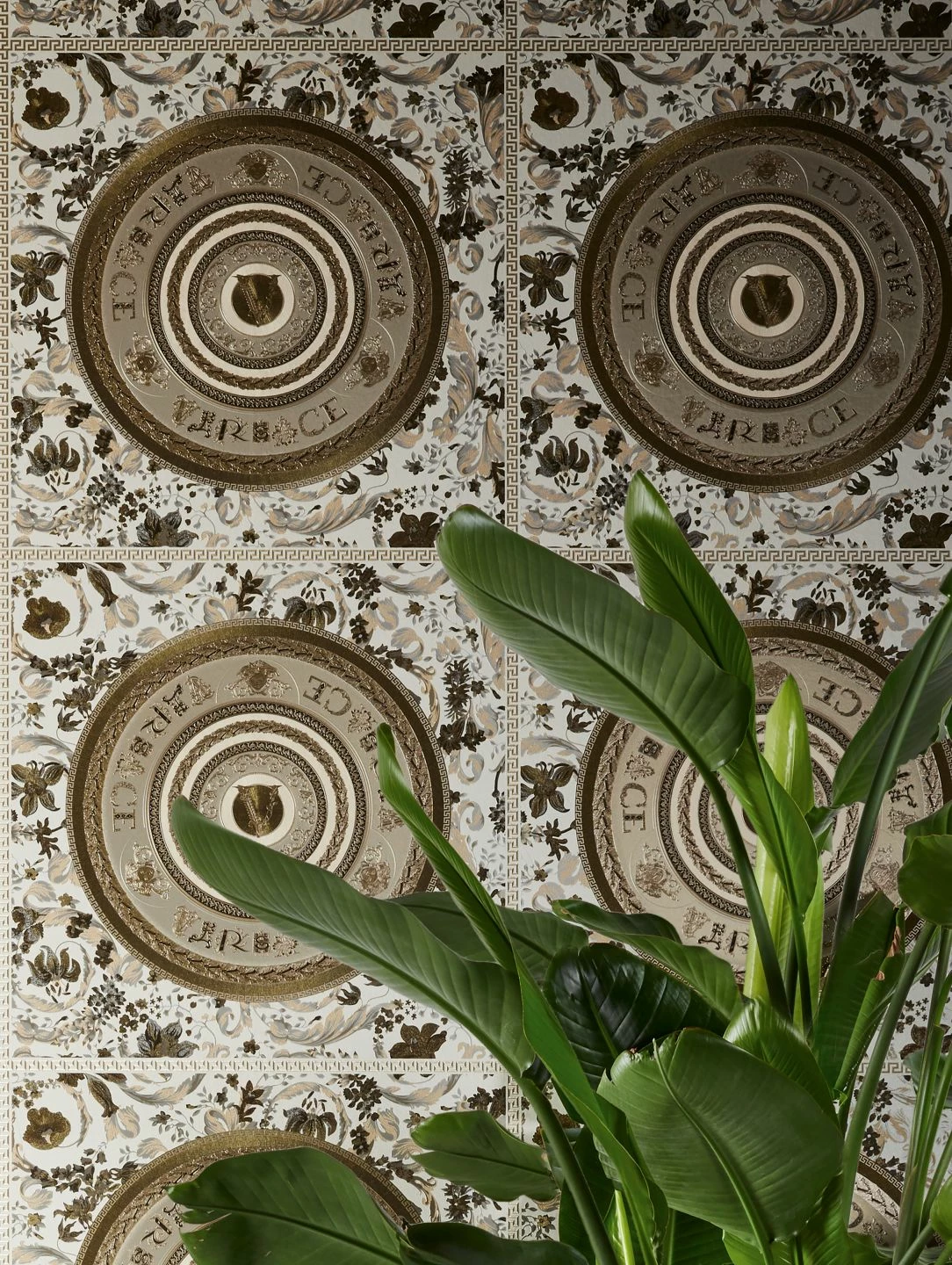 Versace Tapete Venus Brauntöne 3 Versace Tapete Venus Brauntöne