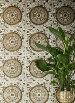 Versace Tapete Venus Brauntöne 11 Versace Tapete Venus Brauntöne -Wallpaper From The 70s Geschäft Venus C 411013 2880x1440