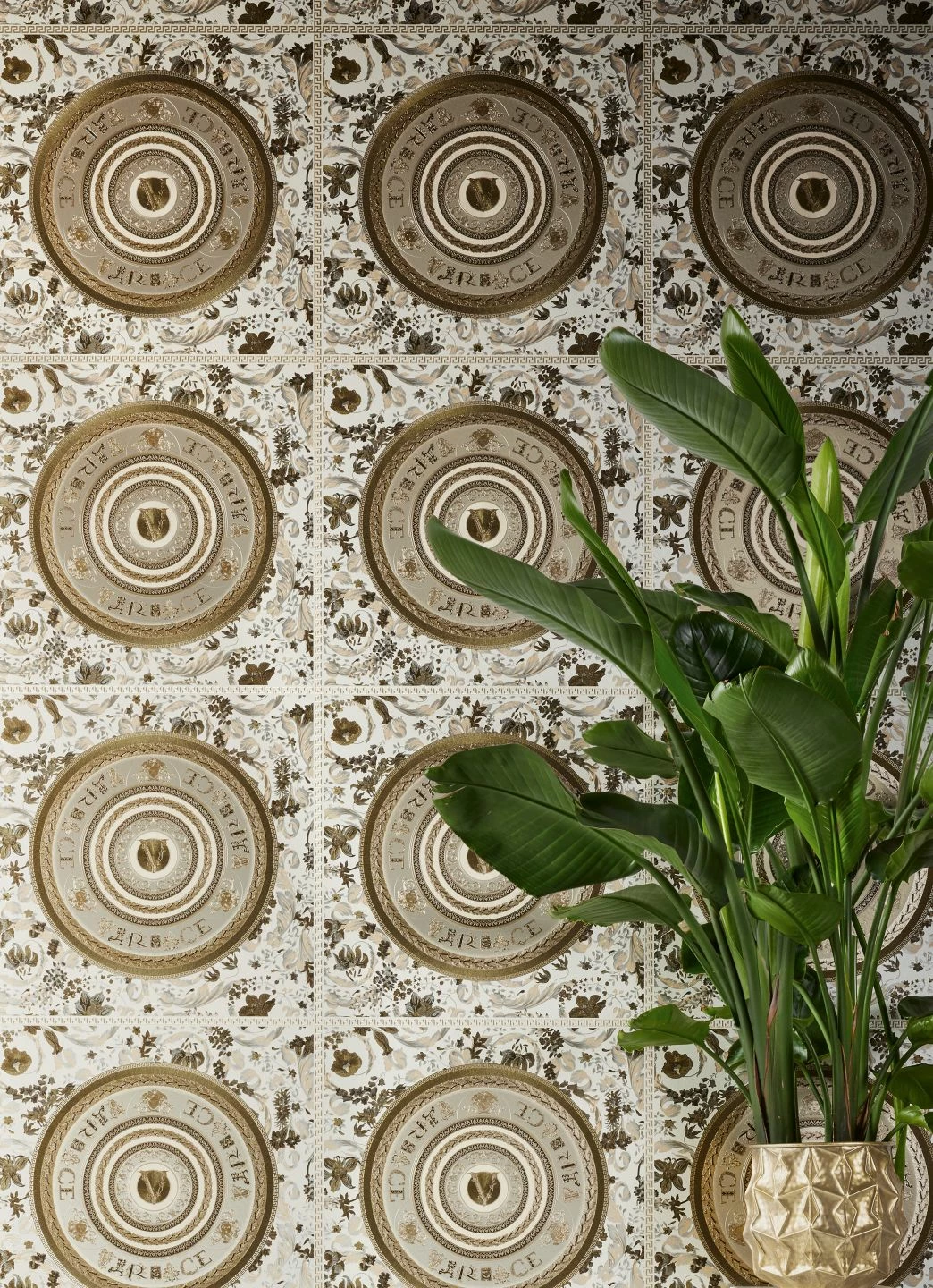 Versace Tapete Venus Brauntöne 7 Versace Tapete Venus Brauntöne – Bild 5