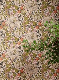 Tapete Wispa Olivgelb -Wallpaper From The 70s Geschäft Wispa F 462505 2880x1440