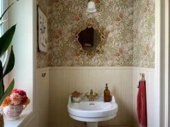 Tapete Wispa Schilfgrün -Wallpaper From The 70s Geschäft Wispa K 462504 2880x1440